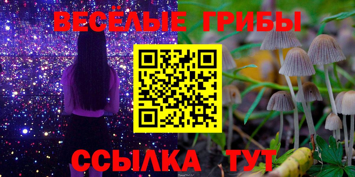 Галлюциногенные грибы мицелий  Вход с VPN  Кирово-Чепецк 