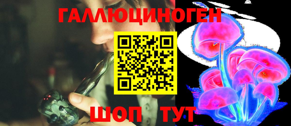 Псилоцибиновые грибы Psilocybine cubensis Кирово-Чепецк